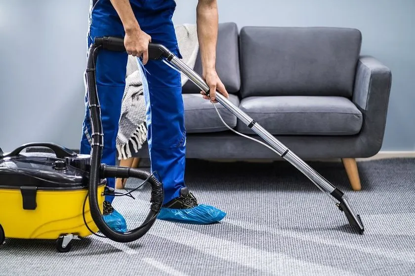 Why Should You Hire Professionals To Clean Your Area Rugs?