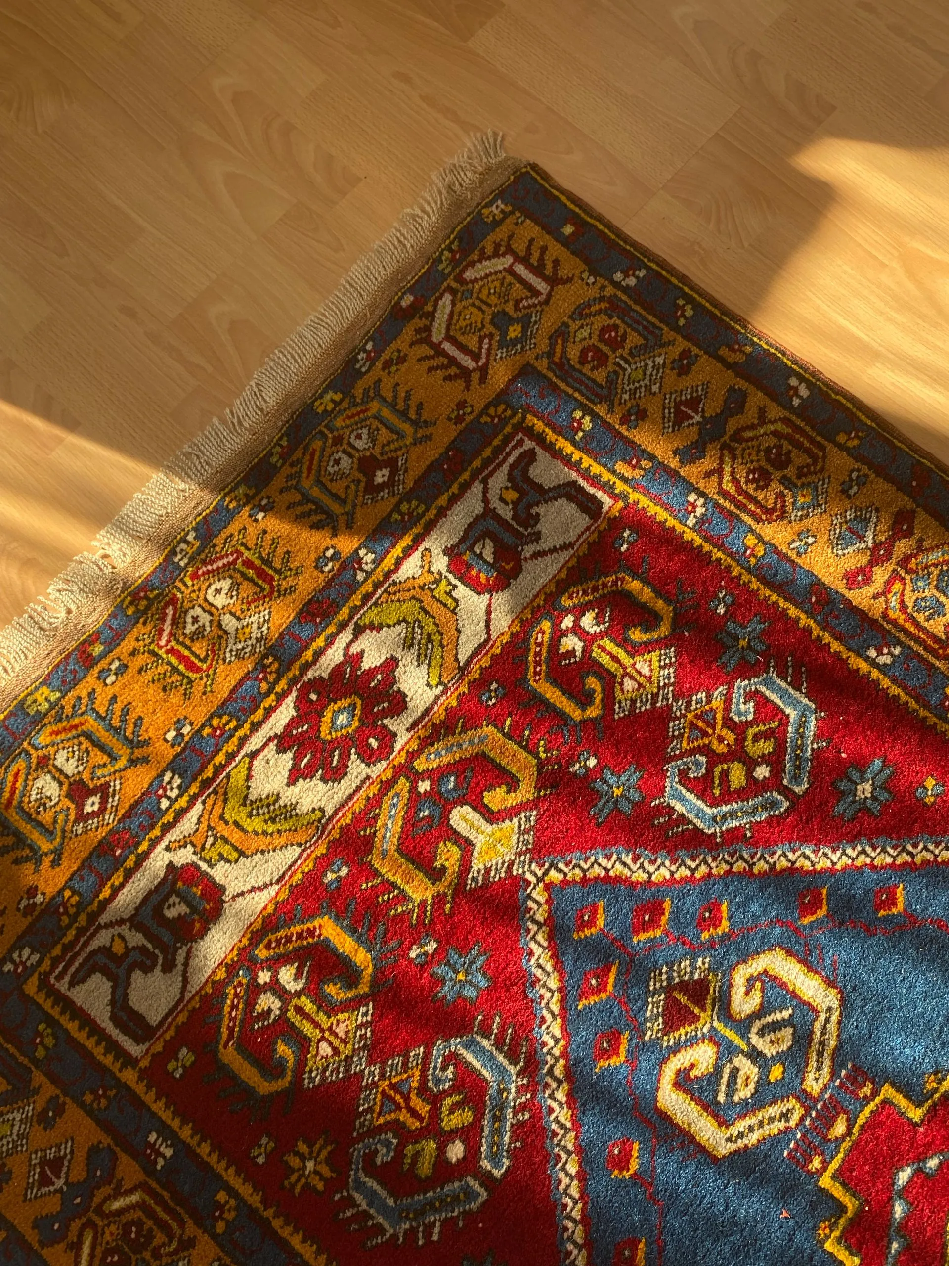 Why Should You Hire Professionals To Clean Your Area Rugs?