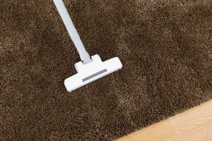 Carpet cleaning professional at work