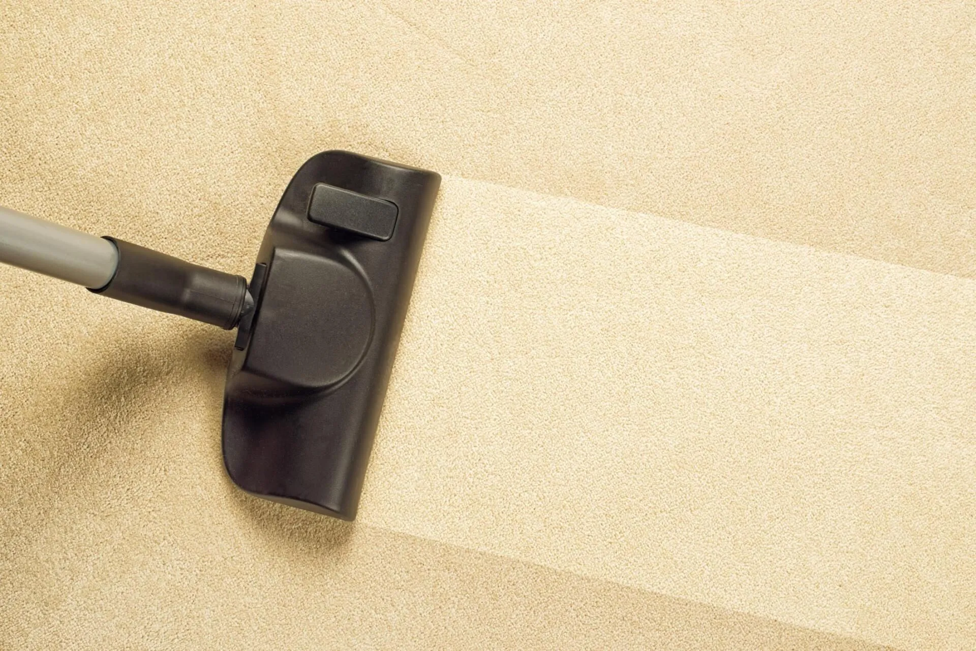Professional carpet cleaner working in a home