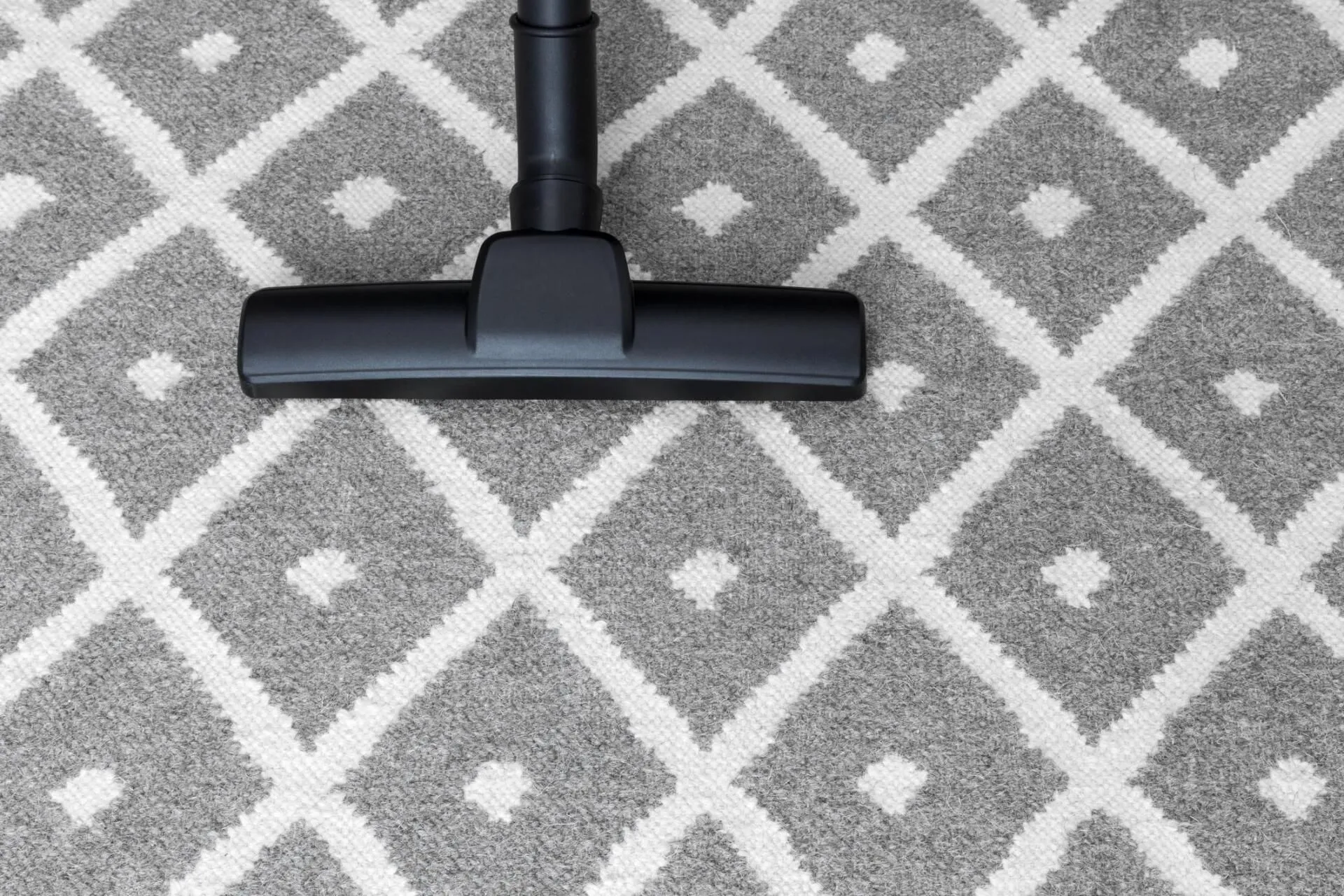 Freshly cleaned carpet in a bright living room